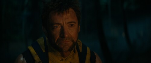 Deadpool.and.Wolverine.2024.1080p.10bit.UHD.Bluray.DD 7.1.x265 BRiAN 01.15.05.262