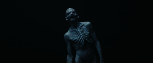 e184944be791106ad49905c06f1fd4a6.png
