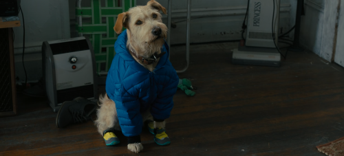 5bd4dcd86005e836add704c623d5ff15