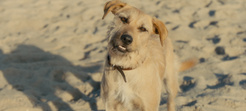 9efd4b0f053d5bbf4b69d63d9a4f6652