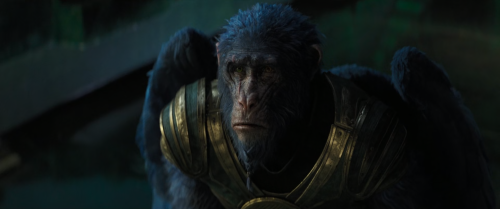 e7d62346eaf803fa7258598b68138991